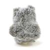 Süßes Fingerpuppe - Sperlingskauz J0069