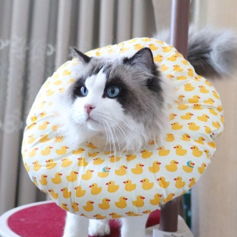 Elizabeth Circle Cat Anti Bite, Anti Lick, Anti Scratch Soft Head Cover Cat Dog Pet Sterilization Shame Ring Cotton Neck Collar