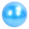 Extra Thick Exercise Ball PVC Anti Burst Inflatable Gym Ball with Pump for Pilates Balance Stability Core Workout