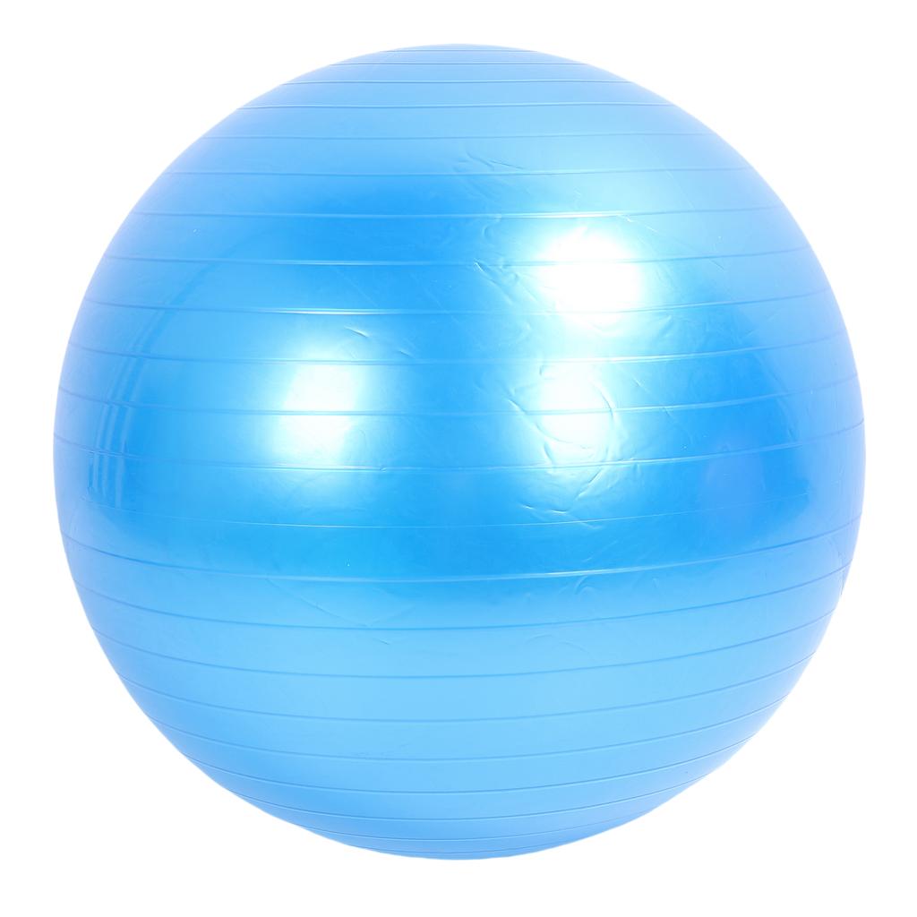 Extra Thick Exercise Ball PVC Anti Burst Inflatable Gym Ball with Pump for Pilates Balance Stability Core Workout