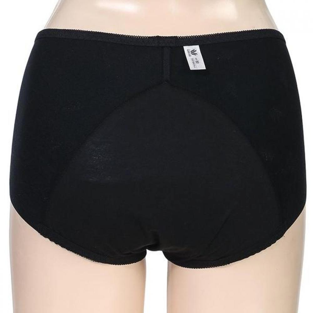 Wakoru Comfort Girdle Style Hemline Underpants Wpt3910