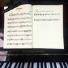 Strong Grip Sheet Music Clip Steel Spring Score Fixed Clips Sheet  Piano Practice