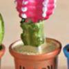 Moss Micro-landscape Ecological Bottle Simulation Small Potted PlantCactus Decorative ItemDesktop Resin Small Item