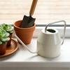 Garden Iron Plant Watering Can Designed For Small Houseplants Accurate Succulents Irrigation And Stylish Home Decoration