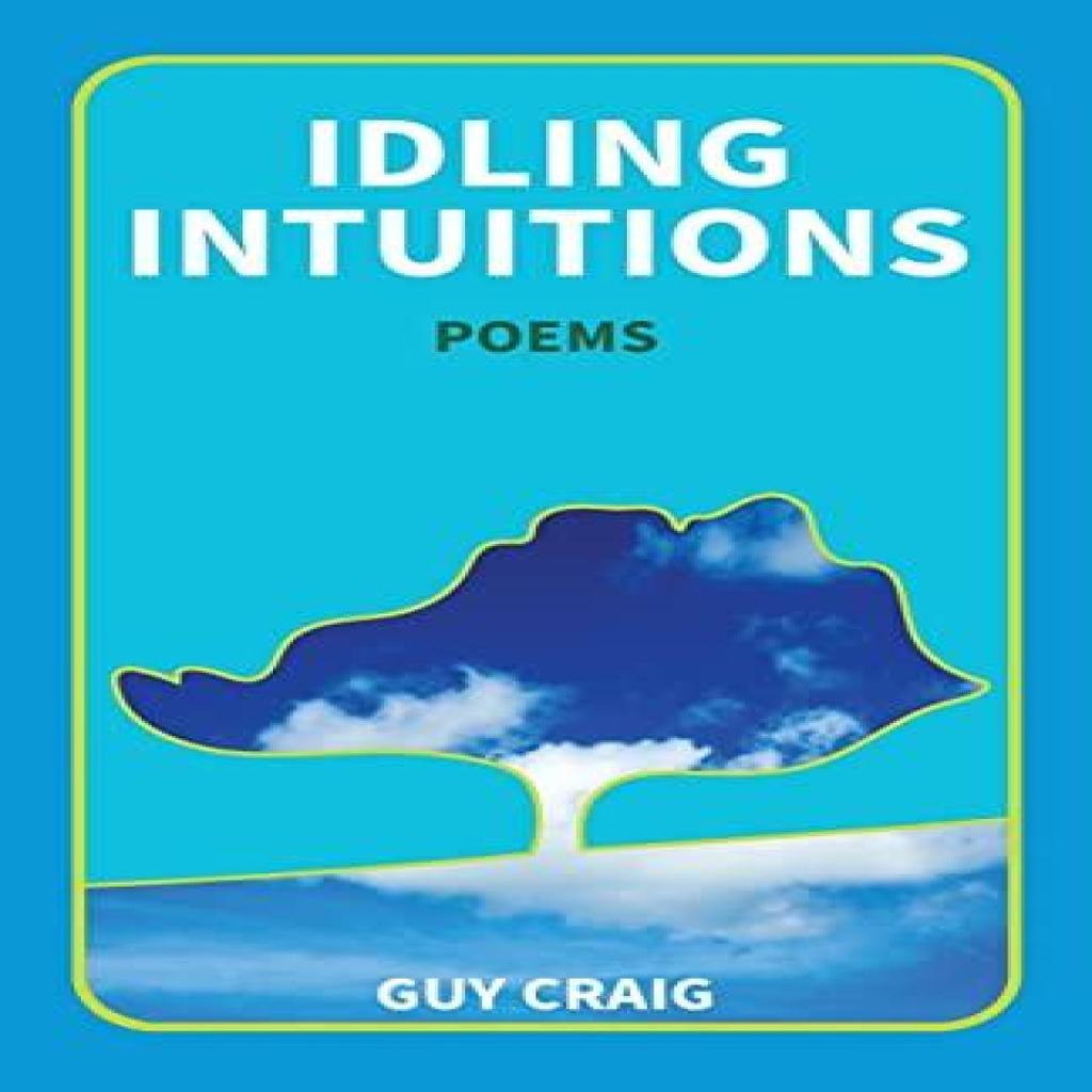 Idling Intuitions by Guy Craig Paperback Book 9781733496841
