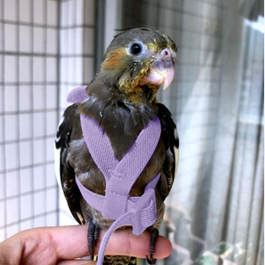Parrot Flying Harness Rope Bird Walking Rope Ultra-light Flying Towing Rope