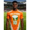 Elfenbeinküste Nein. 10 Elefanten Sporttrikot