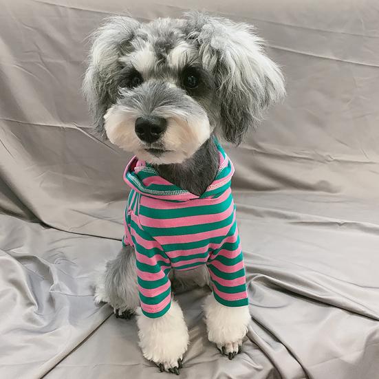 long sleeve dog t shirts