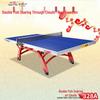 Double Fish Xiangyun 328A ITTF Certified Foldable Table Tennis Table