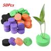 48x19mm Garden Clone Collars 50 Pcs EVA Cotton Planting