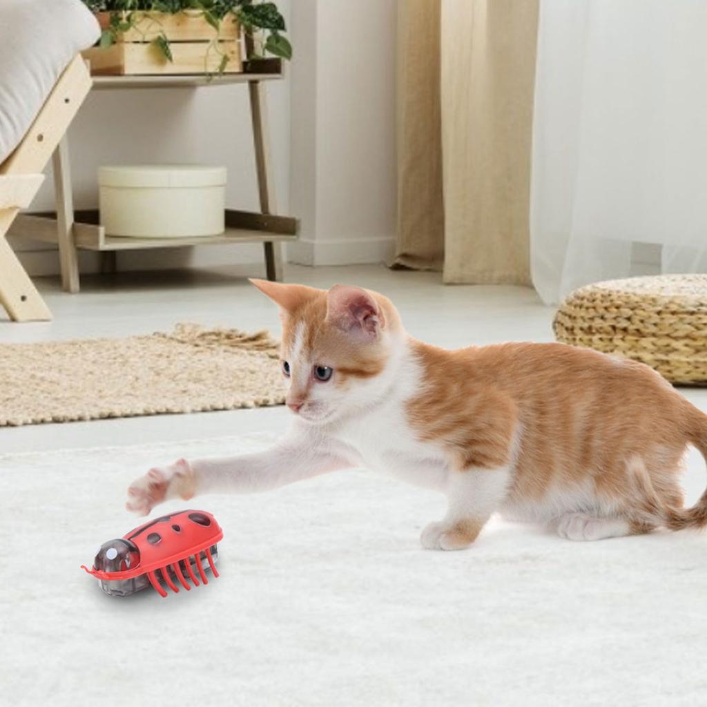 7Pcs Pet Mini Cute Ladybug Shape Electric Funny Toy Playing Interactive with Battery for Cat