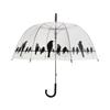 Transparent Black Umbrella Birds On a Wire