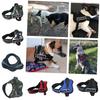 Dog Cloth Vest Chest Straps Pets Supplies Outdoor Breathable Medium Large Gifts