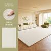Cream Style Carpets for Living Room Thick Plush Lounge Floor Mat Fluffy Soft Cloakroom Rug Large Area Bedroom Decor Line Carpet