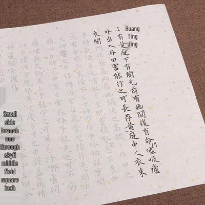 Wang Chong's Small Regular Script Copybook: Trace and Practice Huangting Jing On Xuan Paper – Ideal for Beginners