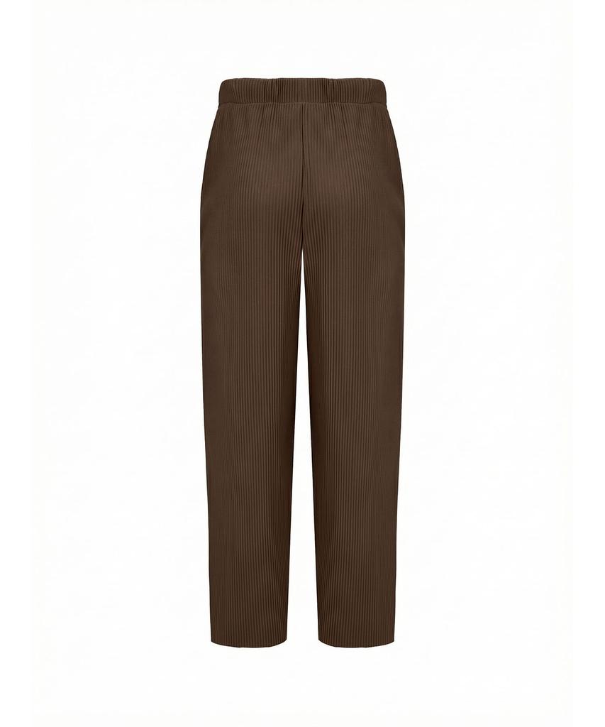 Akebteu Pt11X Pleated Wide Pintuck Pants [Brown]