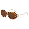 (Europe, America and the Middle East) New sunglasses for men and women