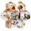 Pet Grooming Hammock Breathable Mesh Dog Grooming Sling Cat Restraint Hammock with Security Strap for Small Medium Dogs Cats Nail