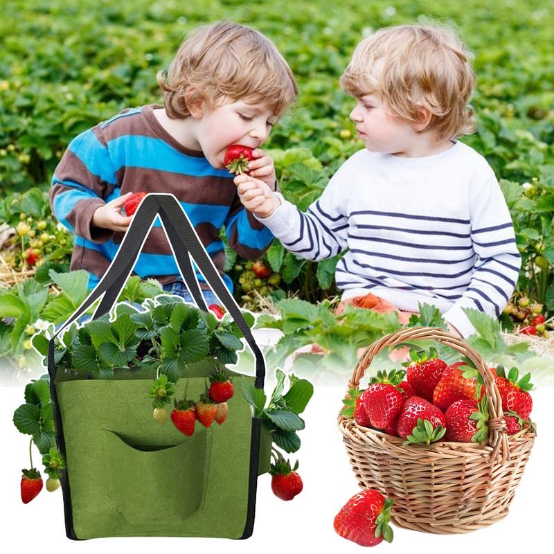 Strawberry Grow Bag With 4 Side Growth Pockets Heavy Duty Non-Woven Felt Hanging Floor Cultivation Grow Bag For Plants