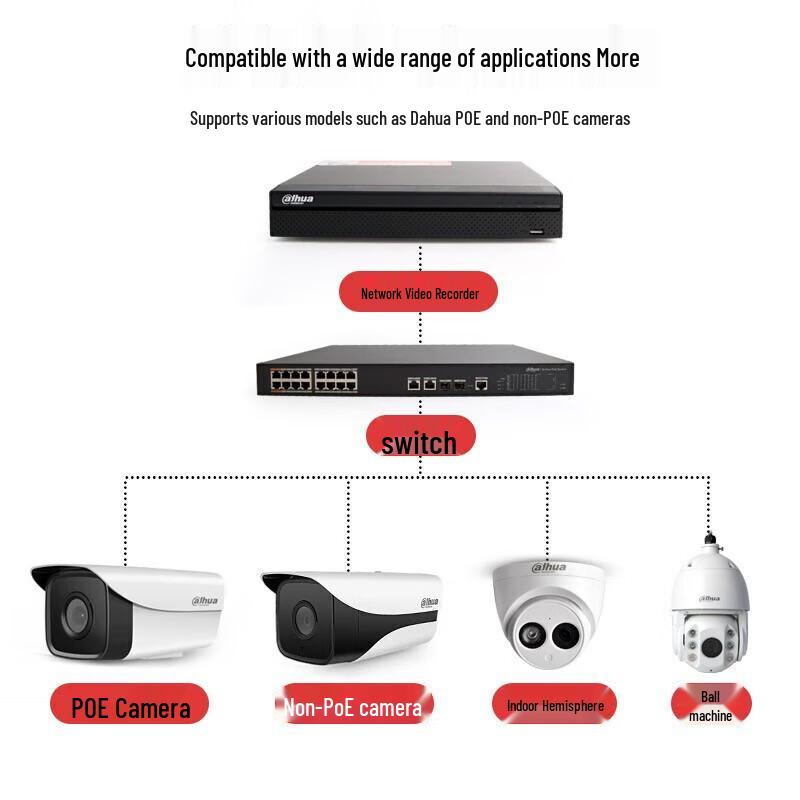Dahua DH-NVR2110-L 10-Channel NVR Video Recorder CN Plug (adapter Included)
