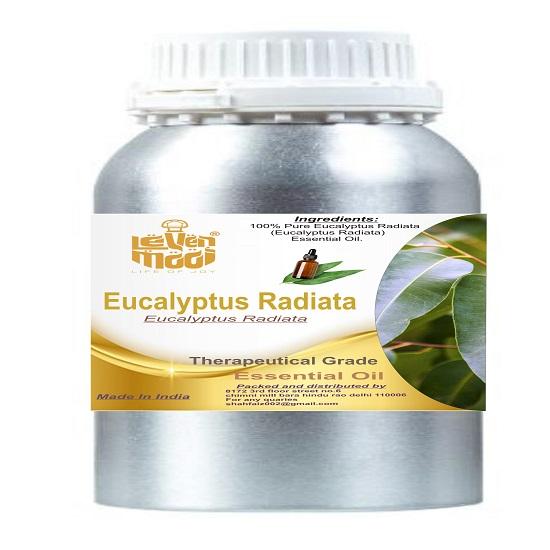 Levenmooi Eucalyptus Radiata (Eucalyptus Radiata Sieber) Pure & Natural Therapeutic Grade Essential Oil Glass