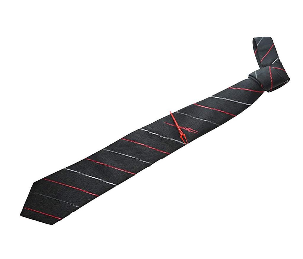 Swank X Evangelion Tie Bar X Necktie Set (eva-2021-tie01)