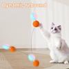 Cat Toy with Sound Feature Cats Bouncy Exercise Ball Interactive Ball Toy with Feathers for Cats Stress Relief Fun Activity Indoor Outdoor Use