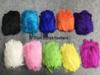 15-20cm Colored Ostrich Feathers - Performance & Wedding Decor, Free Shipping