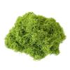 Bionic Artificial Moss Turf Micro Landscape Ornaments for Bonsai and Potted Plant Landscaping