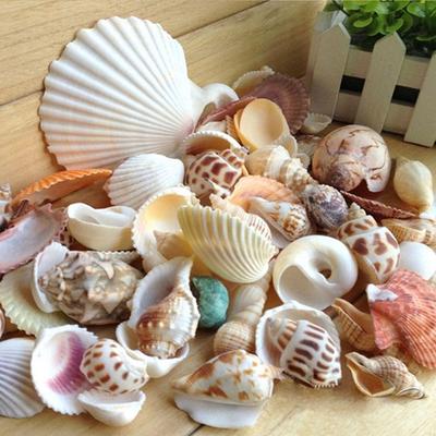 200g/paquet Coquillages et Conques Naturels de Plage Décoration d'Aménagement d'Aquarium