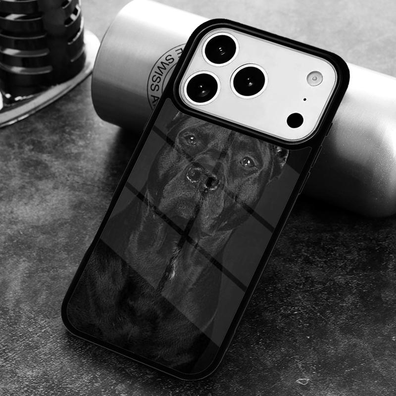 Italian Cane Corso Mastiff Dogs Phone Case for iPhone 17 16 15 Pro Max Air 14 13 12 11 Plus Shockproof Cover