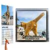 2026 Funny Cat Butt Calendar A Prank Gift For Cat Lovers Cat Ball Calendar Humorous  Gift