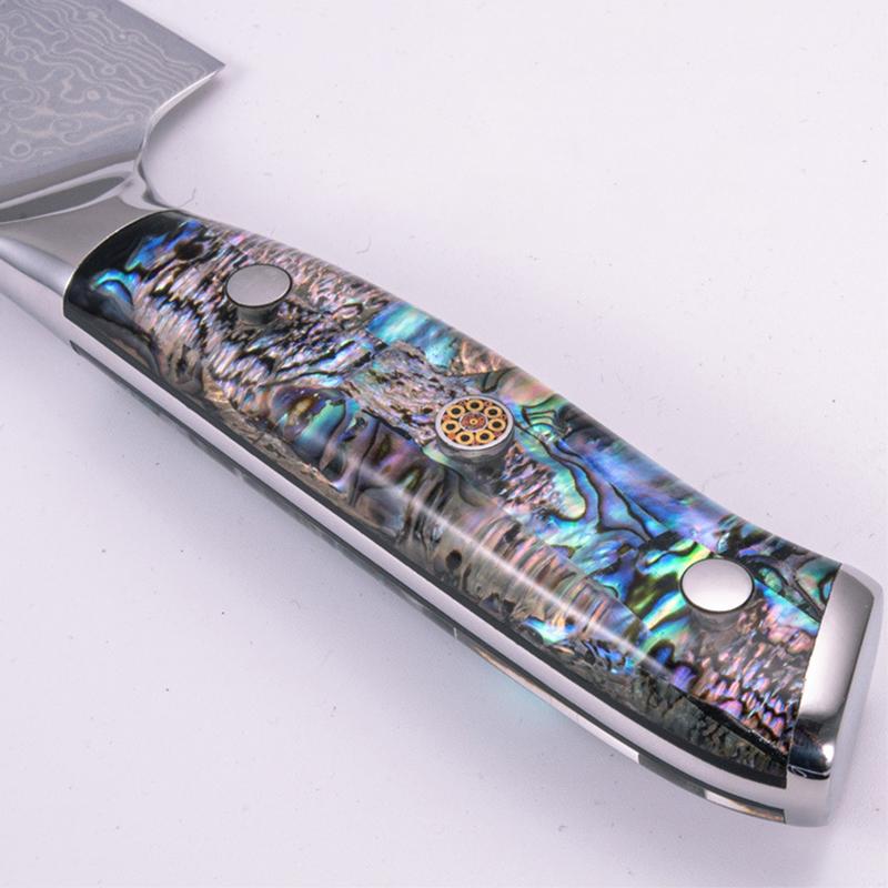 8 Inch Chef Knife 67-layers Damascus Steel 10Cr15CoMoV Blade Abalone Shell Handle Slicing Vegetables Cleaver Meat Kitchen Knives