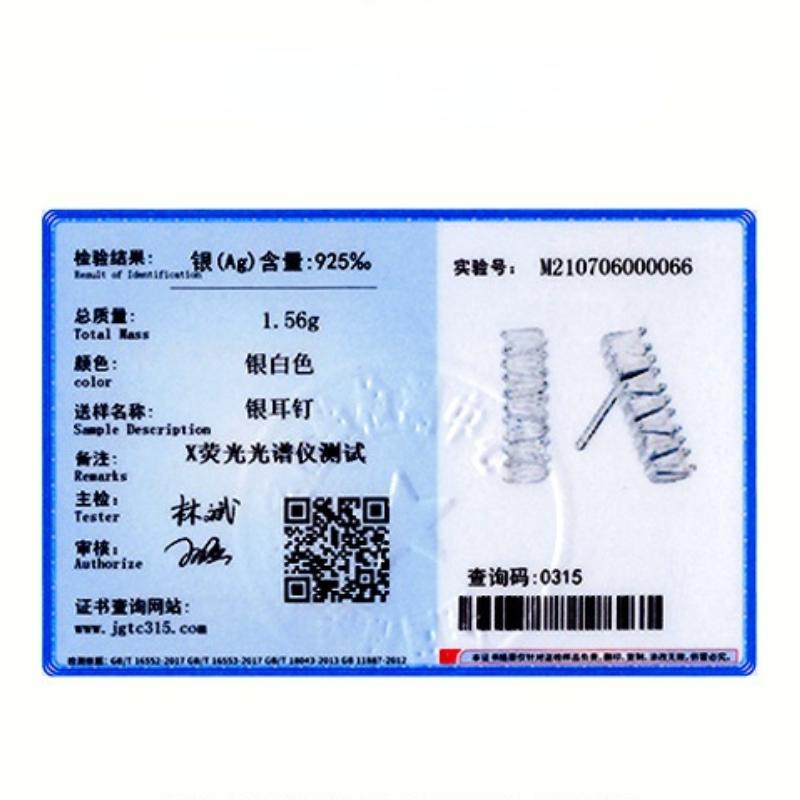 Tancise 925 Sterling Silber Zirkon Ohrringe Tropfen Ohrringe für Frauen Hochzeit Party Geschenke