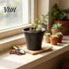 Sturdy Gardening Pot with Ventilation 8" Retro Flower Saucer, Thickened Plastic Planter Drainage Hole, Home Decor Plant Anti-Aging, Peacock