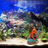 Drifting Bottle Octopuses Aquascaping Stone For Fish Tanks Resin Decorations Safe Lightweight Design