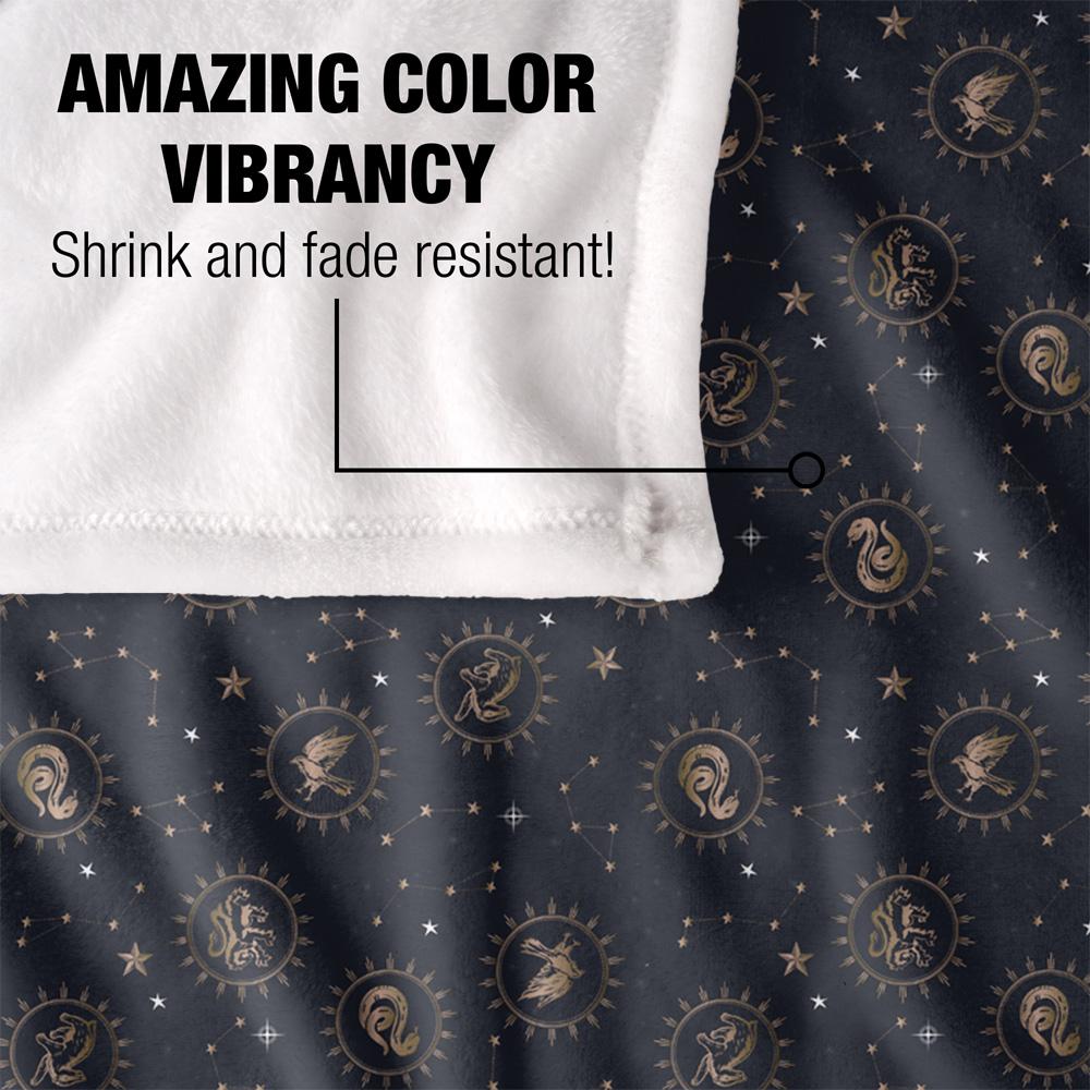 HARRY POTTER Hogwarts Häuser Decke