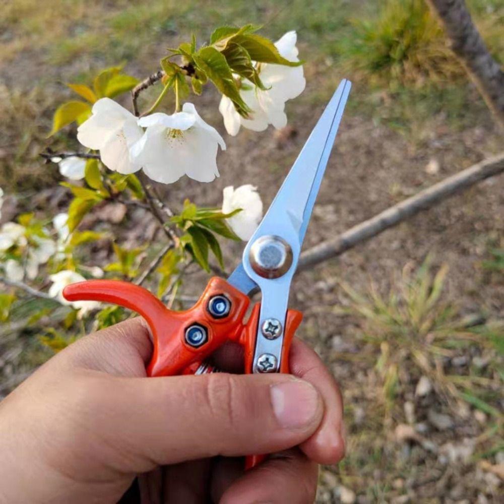 With Safety Buckle Branch Pruning Scissors Straight Plant Cutter Fruit Picking Scissors  Home