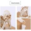 Vintage Evil Skeleton Statues Resin Skeleton Shaped Ornament New Skeleton Decoration