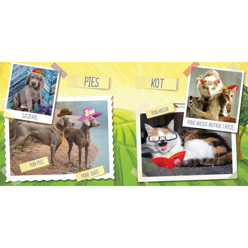 I Grow and Discover Animal Families Educational Book Children' Puzzles