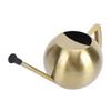Watering Can with Long Spout 1000ml Stainless Steel Round Indoor Plant Watering Can with Detachable Head for Home