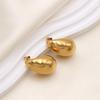 Titanium Steel Hollow Hollow Water Drop Earrings Light Luxury High Sense Versatile Earrings Earrings