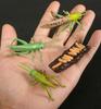 Montessori Wooden Lifelike Insect Animal Life Cycle Board Teaching Plant Animals Growth Cycle Model Set Preschool Cognitive Toy