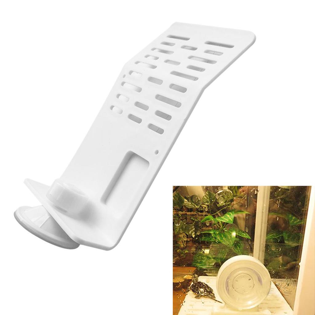 Turtle Bask Terrace Island Platform Aquarium Tank Reptile Dock Decor