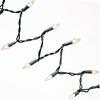 50-Count Clear Christmas Light Set