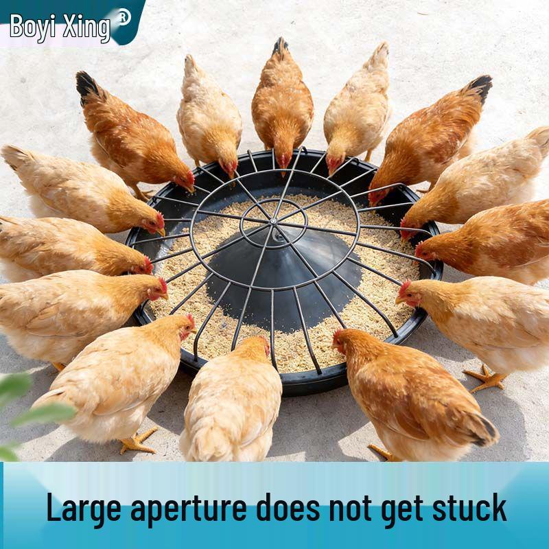 Automatic Thickened Chicken & Water Feed Trough for Free-Range Poultry