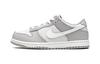 Dunk Low Two-Toned Grey PS DH9756-001