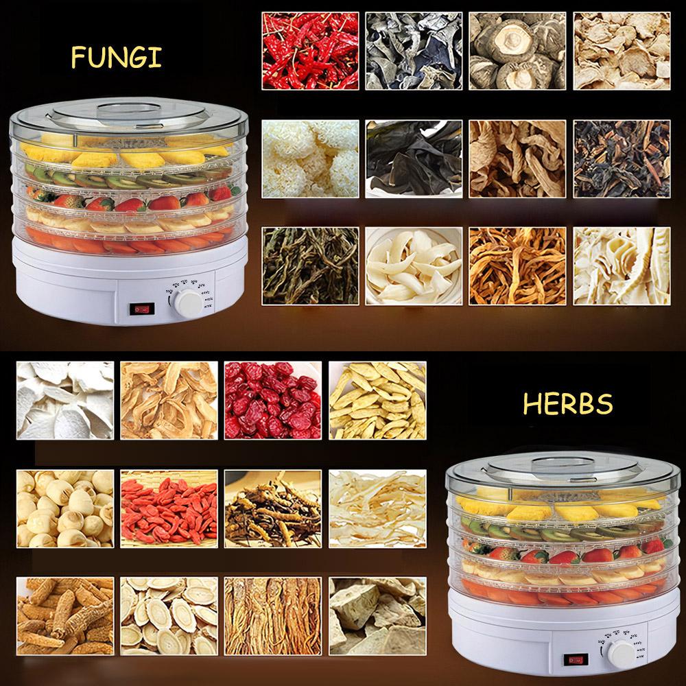 Electric Food Dehydrator Machine 5 Tray Tier Fruit Dryer Beef Jerky Herbs Dryer with Adjustable