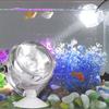 LED Underwater Light Multicolor Waterproof Spotlight Lamp