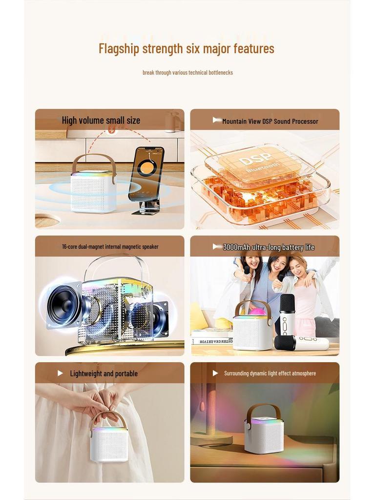 Y1 Bluetooth Wireless Children's Home KTV Microphone Speaker Set